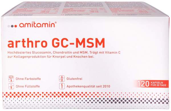 Amitamin arthro GC-MSM 120 Kapseln
