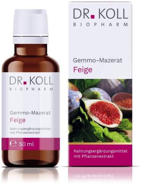 Gemmo Mazerat Feige Dr.Koll Ficus Carica Tropfen 50 ml