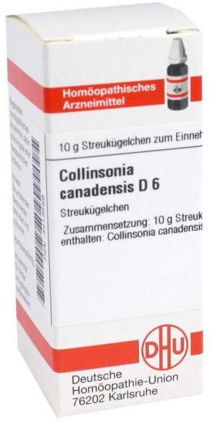 Dhu Collinsonia Canadensis D6 10 G Globuli