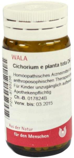 Cichorium E Planta Tota D 6 Globuli 20 G