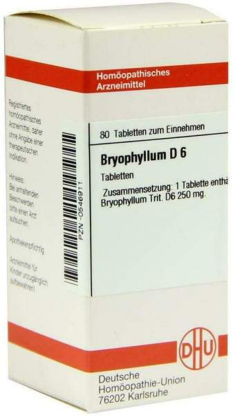 Bryophyllum D 6 Tabletten