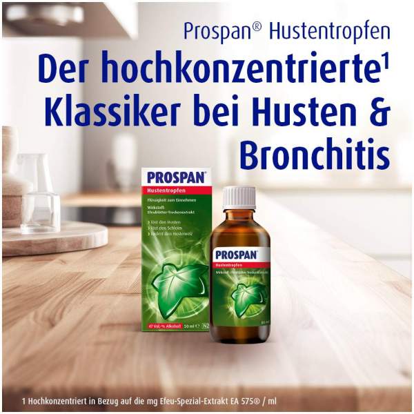 elefantenfuß lebensdauer Elefantenfuß | kaufen