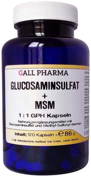 Glucosaminsulfat + Msm 1:1 120 Kapseln