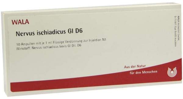 Nervus Ischiadicus Gl D 6 Ampullen