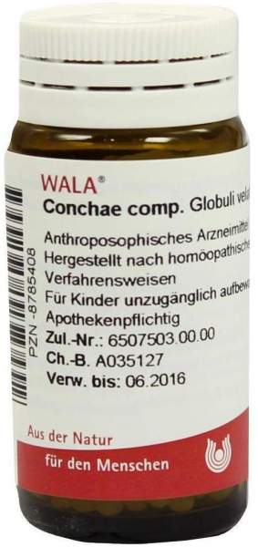 Wala Conchae Comp. Globuli