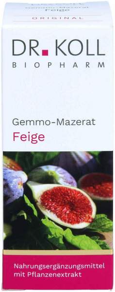 Gemmo Mazerat Feige Dr.Koll Ficus Carica Tropfen 50 ml