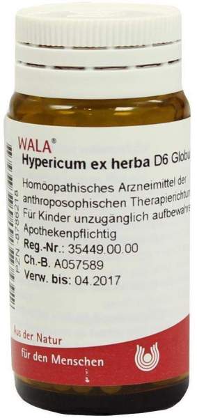 Hypericum Ex Herba D 6 Globuli