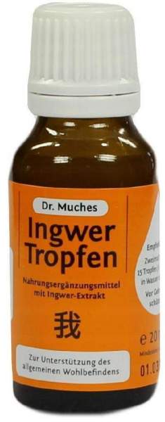 Ingwertropfen Dr. Muches 20 ml