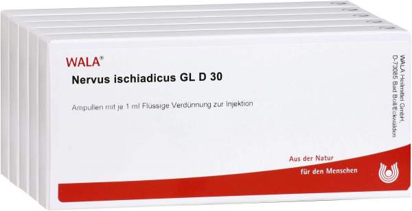 Nervus Ischiadicus Gl D 30 10 X 1 ml Ampullen