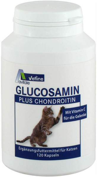 Glucosamin Chondroitin Kapseln Für Katzen 120 Stück