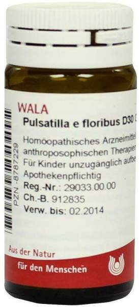 Wala Pulsatilla E Floribus D30 20 G Globuli