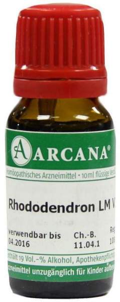 Rhododendron Lm 6 Dilution 10 ml