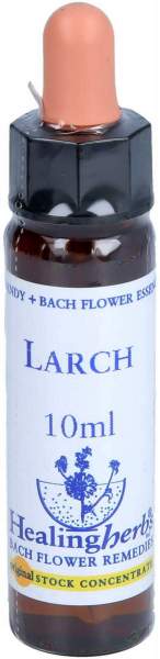 Bachblüten Larch Healing Herbs Tropfen 10 ml