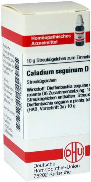Caladium Seguinum D 6 Globuli