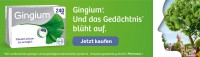 Gingium 240 mg 