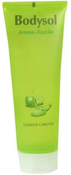 Bodysol Aroma Dusche Ginkgo Limette 250 ml Duschgel