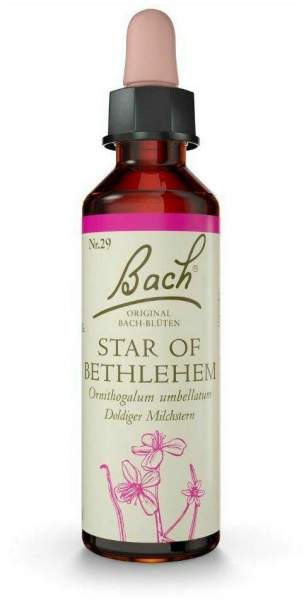 Original Bach-Blüte Star of Betlehem Tropfen 10 ml