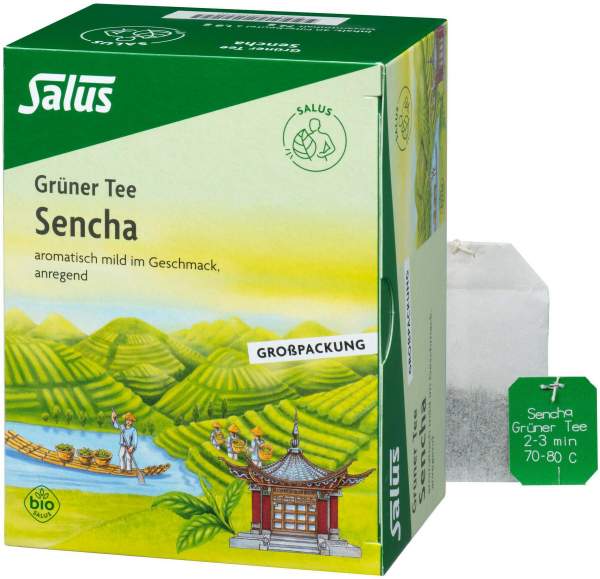 Grüner Tee Bio Salus 40 Filterbeutel Großpackung