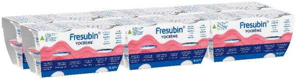 Fresubin Yocreme Himbeere 24 X 125 G