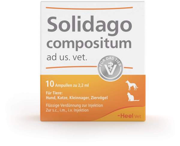 Solidago Compositum 10 Ampullen vet.