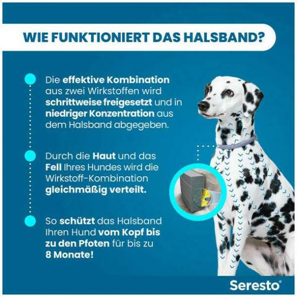Seresto Halsband fr groe Hunde 1 Stck kaufen | Volksversand  Versandapotheke