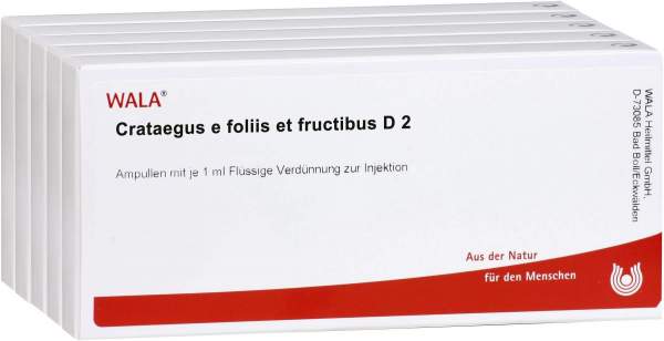 Crataegus E Foliis Et Fructibus D 2 50 X 1 ml Ampullen