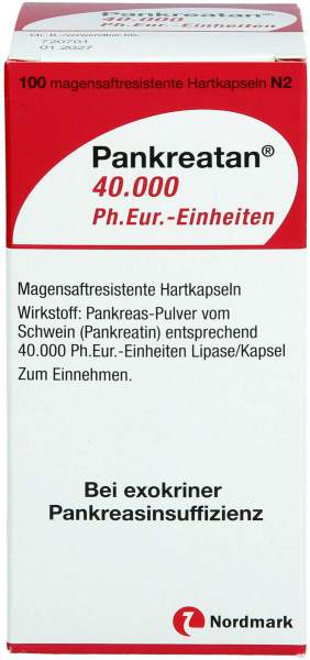 Pankreatan 40.000 Ph.Eur.-Einheiten 100 Magensaftresistente