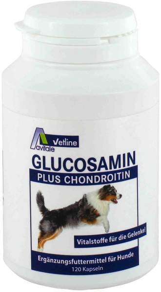 Glucosamin + Chondroitin Für Hunde 120 Kapseln