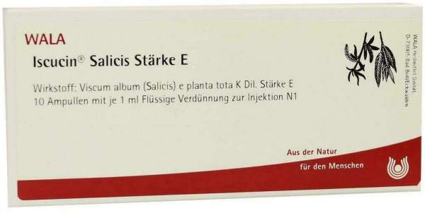 Wala Iscucin Salicis Stärke E 10 X 1 ml Ampullen