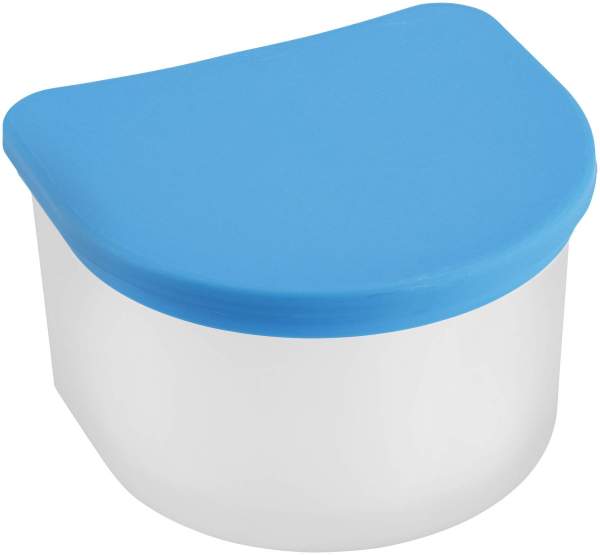 Prothesenbox Hygiene Mit Einsatzkorb 1 Stück