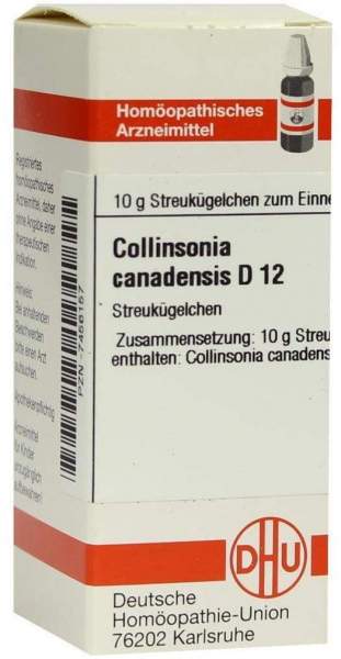 Collinsonia Canadensis D 12 Globuli