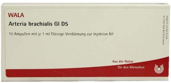 Arteria Brachialis Gl D 5 Ampullen