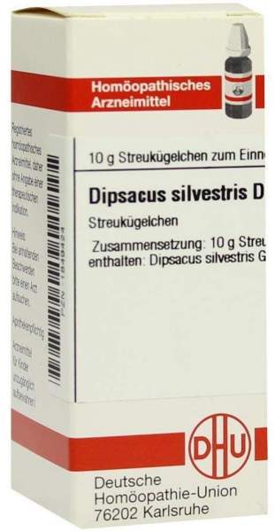 Dipsacus Silvestris D 30 Globuli