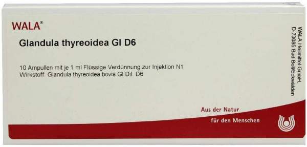 Glandula Thyreoidea Gl D 6 Ampullen 10 X 1 ml
