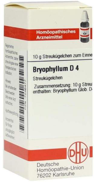Bryophyllum D 4 Globuli