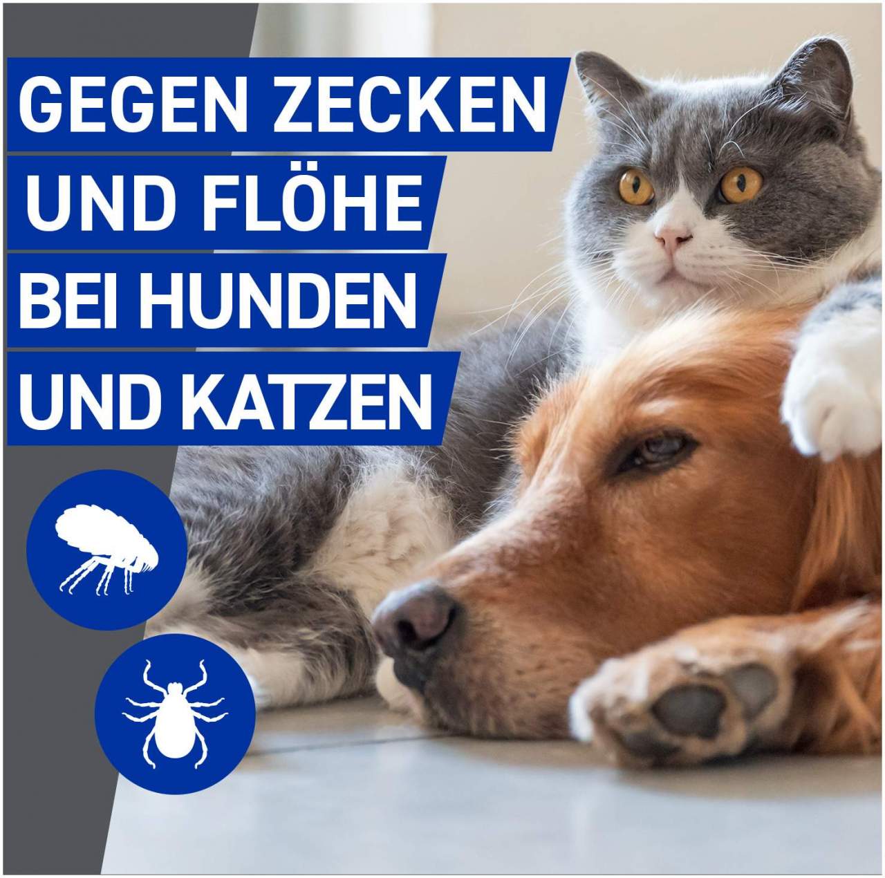 Frontline vet. Spray 250ml