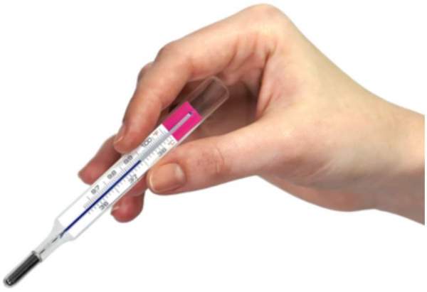 Geratherm basal Zyklusthermometer 1 Stück