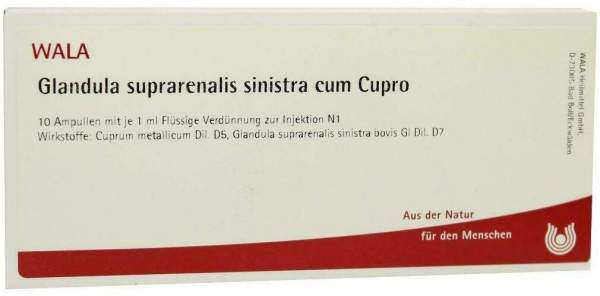 Wala Glandula Suprarenalis Sinistra Cum Cupro 10 X 1 ml Ampullen