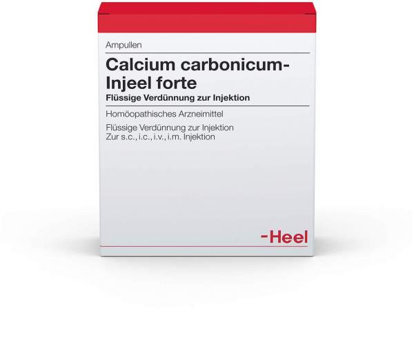 Calcium Carbonicum Injeele Forte 1,1 ml 10 Ampullen