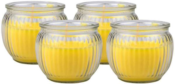 Citronella Kerze im Glas 4er-Set