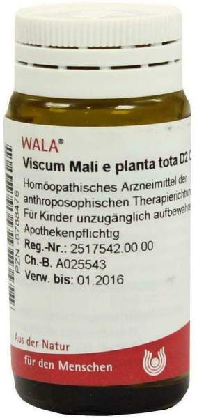 Wala Viscum Mali E Planta Tota D2 20 G Globuli