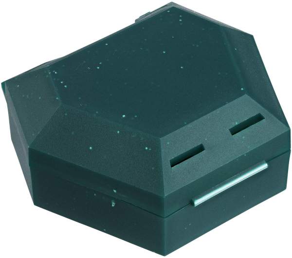 Zahnspangenbox Mit Kordel Grün 1 Stück