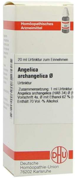 Dhu Angelica Archangelica Urtinktur 20 ml Dilution