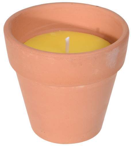 Citronella Kerzen im Terrakotta Topf 4er-Set