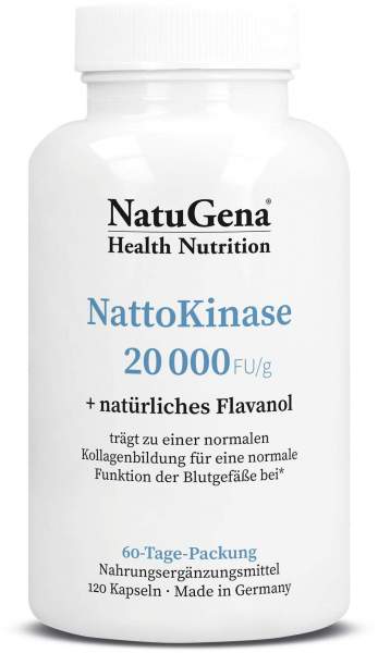 NattoKinase 2000 120 Kapseln