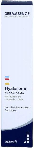Dermasence Hyalusome Reinigungsgel 100 ml