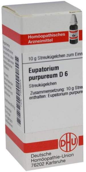 Dhu Eupatorium Purpureum D6 Globuli