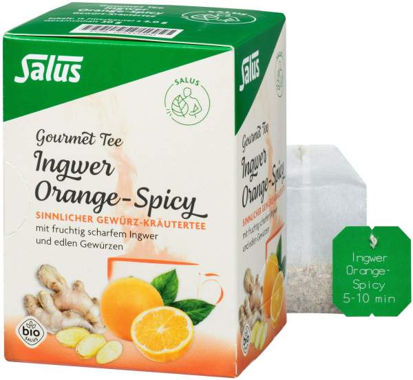 Ingwer Orange Spicy Tee Salus