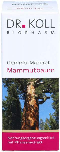 Gemmo Mazerat Mammutbaum Dr.Koll Sequoia gigantea 50 ml
