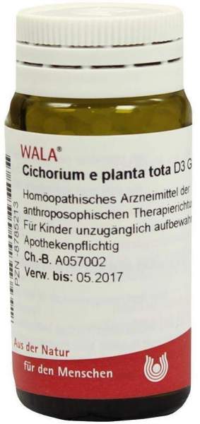 Cichorium E Planta Tota D 3 Globuli